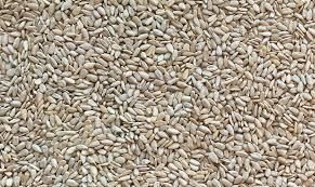 Premium Sunflower Seed Kernels – Raw, Roasted & Hulled for Export from TRADE NEPAL LLC Premium Sunflower Seed Kernels – Raw, Roasted & Hulled for Export - TRADE NEPAL LLC - United States