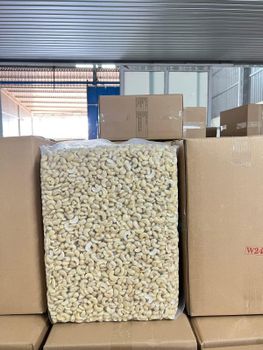 Factory-Dried Kaju Raw Cashew Nut Kernels WW240 WW320 WW450 Pistachio & Pine Nuts for Food -  DAEWKAEW PANTAMANG Co., Ltd - Thailand