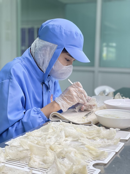 Edible Bird’s Nest from Thailand Shelf Life 24 Months Moisture Content Less Than 10% Type Edible Swiftlet Bird’s Nest Form Whole Cup, Strips, Broken Nest, Crumbs - Yendee Birdnest Thailand Co.,LTD - Thailand
