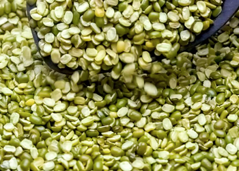 Organic Green Lentils from BS International Organic Green Lentils - BS International - India