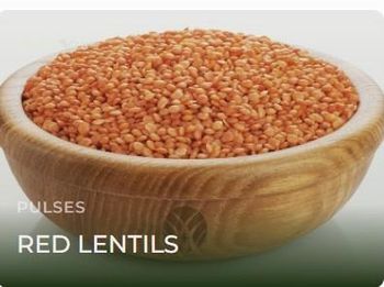 Red Lentils from BERKELEY MERCANTILE LTD Red Lentils - BERKELEY MERCANTILE LTD - United Kingdom