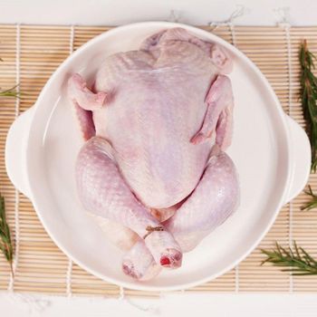 Fresh Whole Chicken Premium Frozen Poultry Meat Advanced IQF Technology Vacuum Packaging 25kg Wholesale - Carla Pisselli Commercio - Brazil