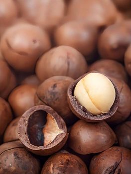 Agriculture Product From Excellent Quality Macadamia Nut With Full Certifications Attractive Price from CPW TRADE LTD Agriculture Product From Excellent Quality Macadamia Nut With Full Certifications Attractive Price - CPW TRADE LTD - United Kingdom