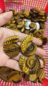 Semi Precious Stone Natural Tiger Stone Conch Pendant Gifts Stone Ornament - East Sunrise Jewelry Co., Limited - China
