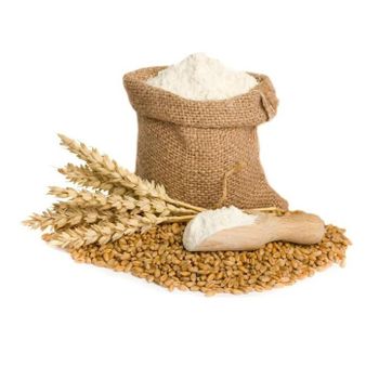 Wholesale All-purpose Wheat Flour Of The Highest Grade 25 kg Bag Organic Natural Non GMO White Wheat Flour Cooking Flour - Exigentelaxia Unipessoal Lda - Portugal