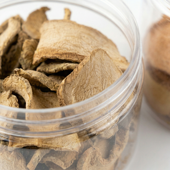 dried javanese turmeric ( curcuma xanthorriza ) - Solo Dagang Komoditi Indonesia - Indonesia
