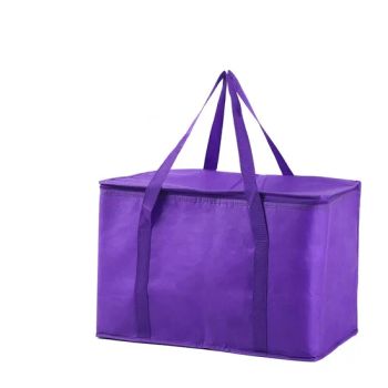 2025 UK Best Seller Food Delivery Insulated Cooler Bag Picnic Cool Bag Deliveroo Small Thermal Totes with Short Handles - Seabang (Xiamen) Outdoor Products Co., Ltd. - China