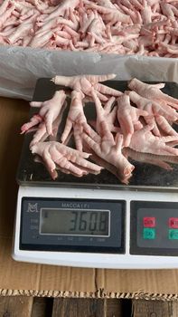 Frozen Chicken Paw from Brasil Foods SA Frozen Chicken Paw - Brasil Foods SA - Brazil