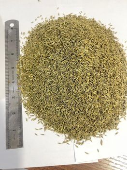 cumin seeds Aroma Strong Packaging 25kg Color Yellow-brown Form Whole Or Ground Place of Origin Egypt Flavor Bitter, Earthy - Khirat Baladna KB for import & export - Egypt