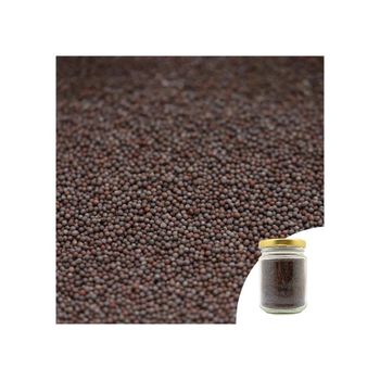 Cheap price Mustard Seeds ideal for spice blends pickling and culinary use - MASI TRADING GMBH - Germany