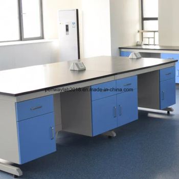 Steel Other Furniture Commercial Laboratory Furniture Origin China HS Code 9403 Condition Used Color Grey with Blue Customized - Guangzhou Penway Lab Equipment Co., Ltd. - China