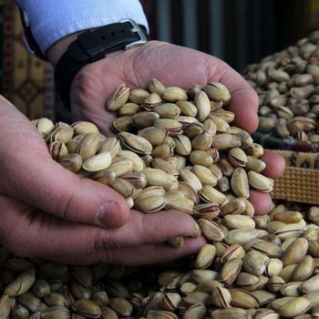 Our premium pistachio nuts are carefully sourced from trusted farms - SILVERSTONE IMPORT AND EXPORT LIMITED - Tanzania