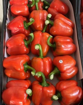 Capsicum Grade 1 Form Egypt Packaging Package: As per client - ahlamfoods - Egypt
