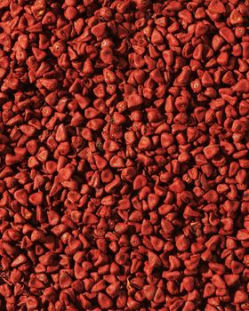 Bulk Whole Annatto Seeds for Natural Food Dyes Premium Quality Indian Achiote 2-5 mm Low Impurity Export from USA from AGRONOVA Bulk Whole Annatto Seeds for Natural Food Dyes Premium Quality Indian Achiote 2-5 mm Low Impurity Export from USA - AGRONOVA - United States