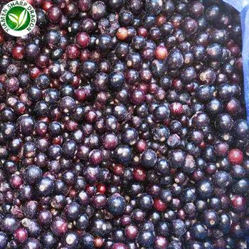 Wholesale cheap price fruit frozen iqf blackcurrant Taste Sweet Shape WHOLE Color Black Style FROZEN Type Currant Content - Xiamen Sharp Dragon International Trading Co.,Ltd - China