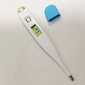 LCD Display Clinical Digital Thermometers Hygrometer with CE in Stock - Shenzhen Bien Technology Co., Ltd. - China