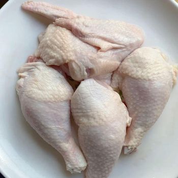 Premium Quality Wholesale Halal Frozen Chicken Drumsticks Muscle Top Grade AA BQF Process 24 Months Shelf Life - PLANETE COMMERCE - France