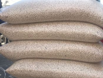 fortified white maize - Zabs Holdings - South Africa