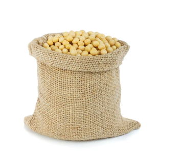 High-Quality Soybean Seeds Purity ≥ 98% Origin Nigeria Admixture ≤ 2% Type soybean seed Damaged Seeds ≤ 1% Foreign Matter ≤ 1% - Pop Sponge Fiber Ltd - Nigeria