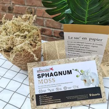 5.3oz High-Quality Natural Sphagnum Moss - Dried Growing Medium for Succulents, Carnivorous Plants, Orchids & Reptiles - Jinan Sphagnum Horticulture Co., Ltd - China