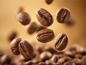 Roasted coffees from Kofa Coffee Roasted coffees – product photo, Roasted Robusta Coffee products found from trusted suppliers, wholesalers, manufacturers & exporters Listing