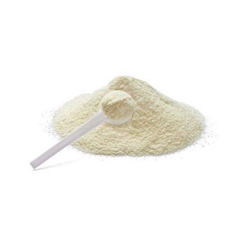 Pure whole goat milk powder available in bulk supply at wholesale price - BMU TRADING GMBH - Germany
