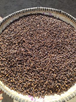 Cloves from SAVA IMPORT EXPORT COMPANY LIMITED Cloves - SAVA IMPORT EXPORT COMPANY LIMITED - Madagascar