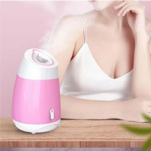 Face Facial Steamer SPA Skin Mist Cleaner Pores Steam Sprayer Steaming Machine - Changsha Fusheng Electronic Technology Co., Ltd. - China