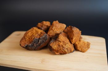 Birch chaga mushrooms whole, chunks, powder (raw, extract) Type Chunks, powder Packaging 10kg bags or per - SIA Mushrooms Latvia - Latvia