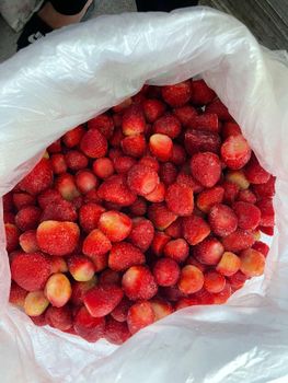 Frozen Fruits Origin Egypt Season January – April Flavor Natural Sweet Flavor Color Natural Color Preserved Storage Temperature –18°c Or - AlShrouk For Food Industry  - Egypt