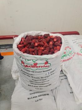 IQF FROZEN STRAWBERRY Grade A Frozen Form Iqf Packaging 25kg Pp - McCoy International Trading LLC - Egypt