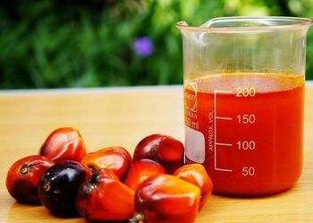 crude palm  oil Volume Up to 0.5 L Delivery Form Bottles, Drums, Tank Filling - Sococom Co., Ltd - Cameroon