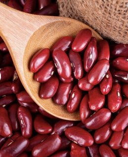 Top Quality Red Kidney Beans.Wholesale Dried Dark Red Kidney Bean Long Shape Kidney Beans. - Almaa SCS - Belgium