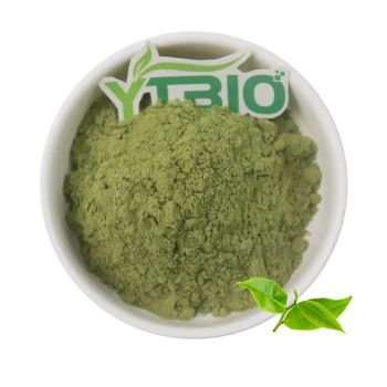 Matcha Tea Powder for Drinking, Cold Drink, Bakery and Ice Cream - Shaanxi Yuantai Biological Technology Co., Ltd. - China