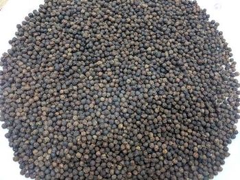 Black Pepper For Sale Shape Round Admixture 0.5%% Origin Binh Phuoc Color Black Brown Size 5mm Min (80%%) Density 570-580 G/l - Farmers Cooperative Limited - Tanzania