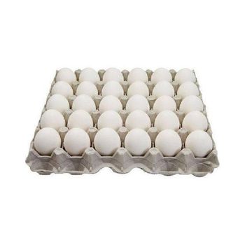 Fresh Chicken Eggs from W&E HOLDING BV Fresh Chicken Eggs - W&E HOLDING BV - Netherlands