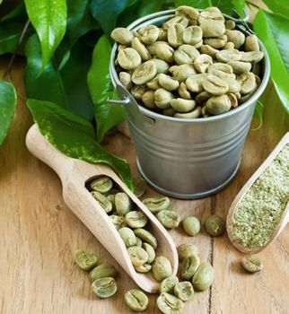Raw Green Coffee Beans for Commercial Roasting Facilities and Specialty Coffee Production Requirements - EAST LAND PROPERTIES - Tanzania