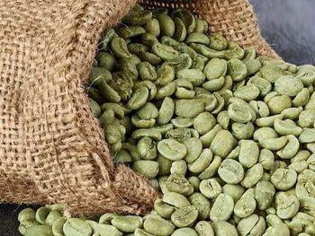 Arabica Plantation - A Grade - InterSpice & Coffee Exports - India