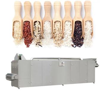 400-500 Kg/H Nutrition Fortified Rice Grain Product Making Machine Artificial Rice Processing Line - JINAN MT MACHINERY & EQUIPMENT CO., LTD. - China