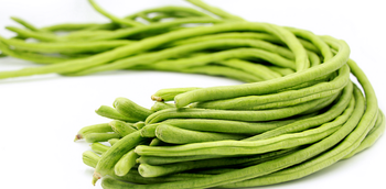 Long Bean Grade A Quality Fresh harvested Place of Origin Malaysia Purity 100% Natural, No Preservatives Harvest Method Farm-fresh & Handpicked - DADDY FARM ENTERPRISE - Malaysia