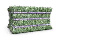 Premium Alfalfa Hay – High-Protein Forage for Superior Livestock Performance - UMGS GROUP PTY LTD - South Africa