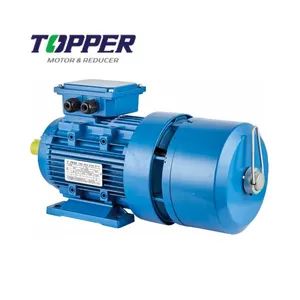 Yej2-100L1-4-2.2kw Yej2 Series AC Electromagnetic-Brake Motors - Zhejiang Dongye Transmission Electromechanical co.,Ltd - China