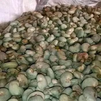 Cashew nuts - Nassdeal - Benin