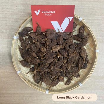 Long Black Cardamom Shape Long Foreign Matter ≤ 1% Moisture Content ≤ 13.5% Round Diameter 1.5–2.5 Cm Length 3.5–4.5 Cm (sorted) - VietGlobal Export - Vietnam