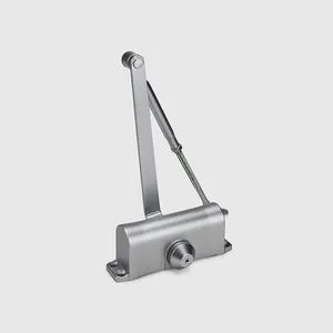 Glass Wood Doors Hydraulic Spring Adjustable Aluminum Alloy Door Closer for Commercial Hotel Use - Wenzhou Liwang Hardware Technology Co., Ltd. - China