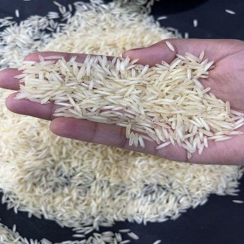 Premium Wholesale Bulk Vietgap Rice 5kg Bag Hard Texture Jasmine Rice Hotel Restaurant Supply - TRADECENTRIC LLC - United States