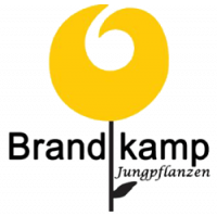 Product from BRANDKAMP GMBH JUNGPFLANZEN-VERTRIEB Product – product photo, Strawberry Fruit Filling products found from trusted suppliers, wholesalers, manufacturers & exporters Listing