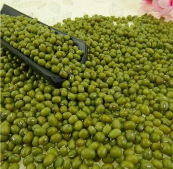Green Mung Beans for sale, Organic Green Moong Dal - HELBER AGRO PRODUCT COMPANY LTD - Kenya