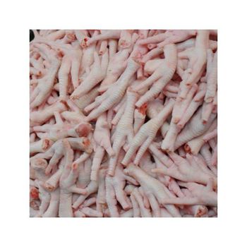 Chicken feet wholesale bulk distribution low price fast delivery export ready packaging - MASI TRADING GMBH - Germany