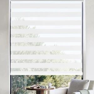 Factory Direct Deal Zebra Roller Blinds Shade Dual Day Night Sheer Window Blinds - Shanghai Wellsource Industrial Co., Ltd. - China